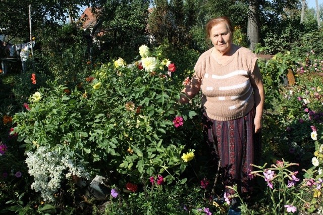 Pani Aniela w Wierzbnie ma swój ogródek i niedaleko grób męża. Gdzie jej tam teraz myśleć o Zakopanem.