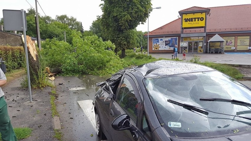 W Czeladzi drzewo przewróciło się na ulicę Nowopogońską i...