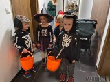 Halloween na osiedlu Koszyka w Opolu. Jeden z mieszkańców przygotował dla dzieci ucztę!