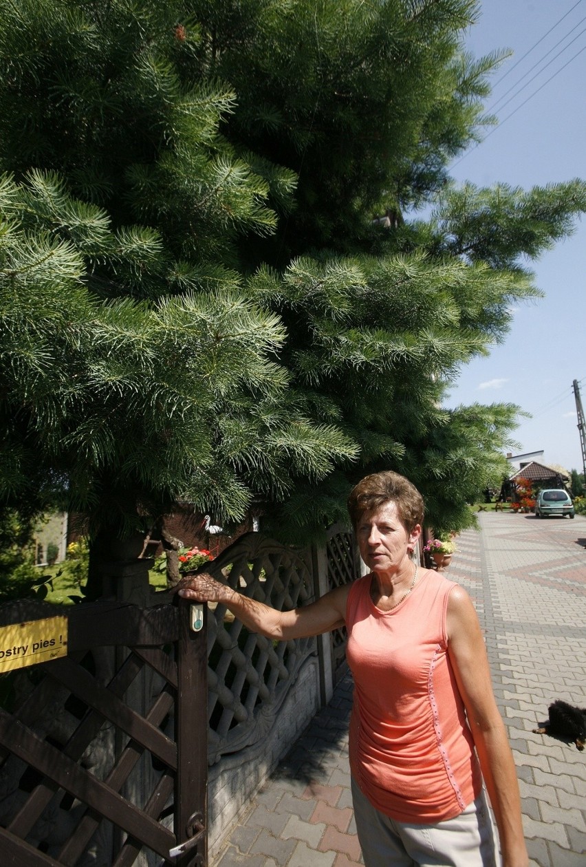 Spadną ceny nieruchomości wokół lotniska w Pyrzowicach?