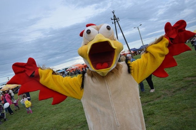 Święto Pieczonego Kurczaka 2019 odbędzie się w sobotę, 31 sierpnia, na Placu Kurczakowym w Maszewie
