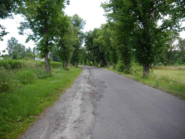 Remont drogi w Broniszowie jest niezbędny, ale co z drzewami?