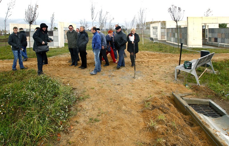 Cmentarz przy Bronowckiej - radni szukali wody