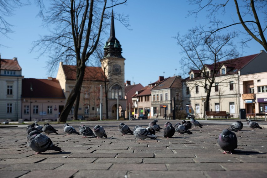 Skawina. Dane wyborcze burmistrz przekazał poczcie, ale są zaszyfrowane, a klucz nadal w urzędzie