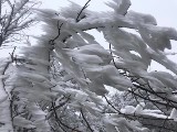 Zaspy śnieżne, oblodzenie, gwałtowne podmuchy wiatru. W Bieszczadach panują bardzo trudne warunki  