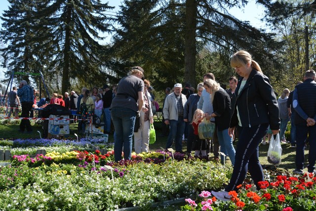 Powiatowe Targi Ogrodniczo-Rolnicze w Sypniewie to jedno z największych corocznych wydarzeń w powiecie sępoleńskim, które przyciąga rzesze odwiedzających.