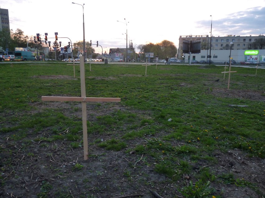 W miejscu wycinki na Bronowicach stanęły krzyże (ZDJĘCIA)