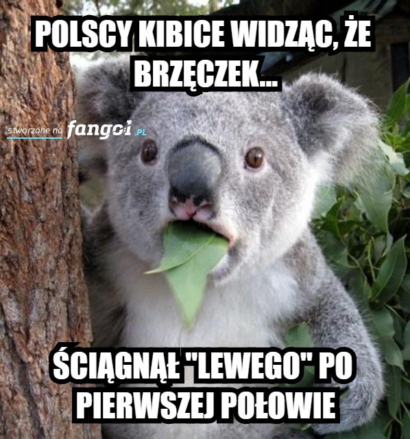 Memy po meczu Polska - Holandia...