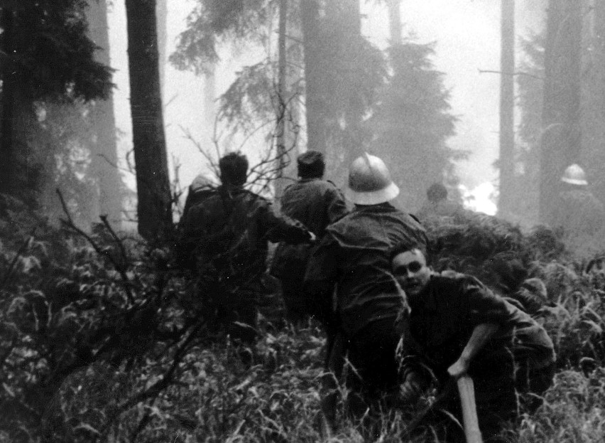 50 archiwalnych zdjęć z największego pożaru lasów w Europie....