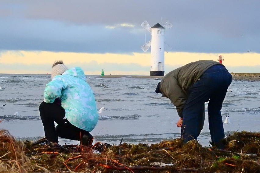 Świnoujście: Bursztynowe szaleństwo na plaży [ZDJĘCIA, WIDEO]