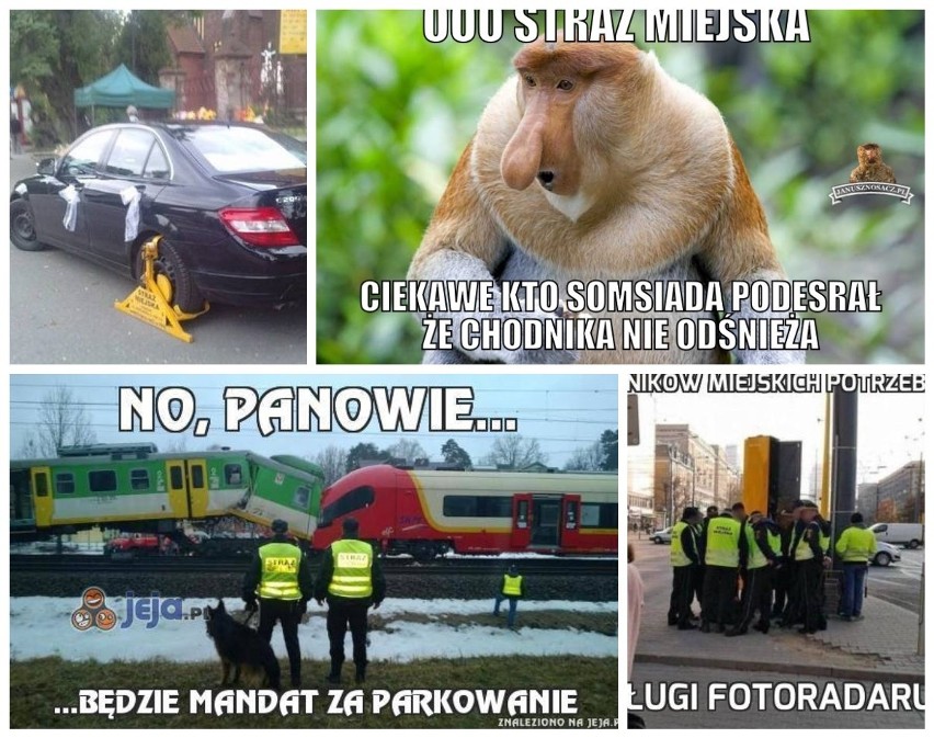 Dziś, 29 sierpnia, obchodzone jest święto Straży Miejskiej....