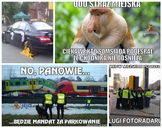 Dziś, 29 sierpnia, obchodzone jest święto Straży Miejskiej. Zostało ono ustanowione w rocznicę uchwalenia ustawy z dnia 29 sierpnia 1997 r. określającej zasady działania straży gminnej. Czym właściwie zajmują się strażnicy miejscy? Internauci mają swoje wyobrażenie o tej pracy. Wyrażają je jak zwykle w memach. Zobaczcie śmieszne obrazki, memy i fotki.