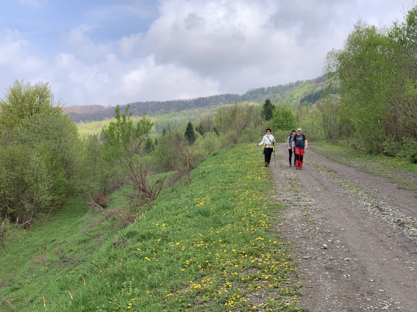 Mijamy piechurów zmierzających w obie strony. Schodzący z...