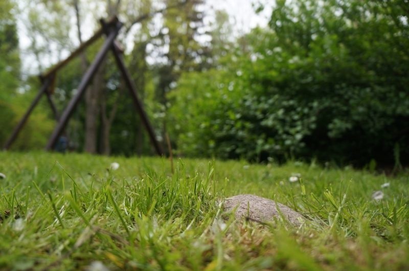 PO chce zamienić Park Centralny w miejsce na pikniki (zdjęcia, wideo)