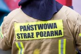 Pożar samochodu na ul. Puckiej w Gdyni, kierujący trafił do szpitala