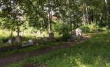 Zapomniana nekropolia w samym centrum Kępic. Chaszcze od lat rosną między nagrobkami 