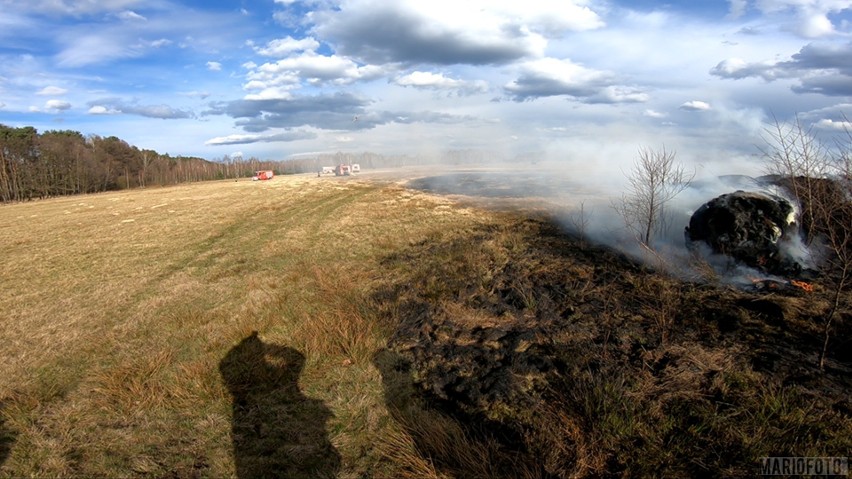 W czwartek w Grodźcu płonęły trawy i las.
