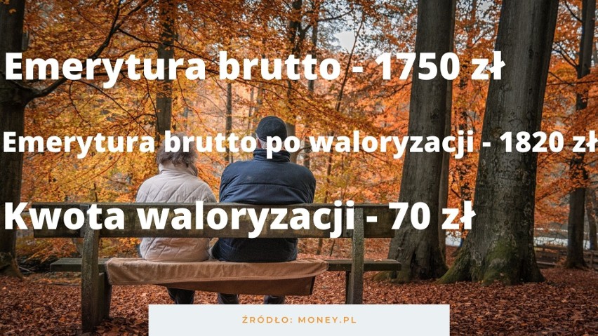 Takie mają być emerytury w 2022 roku. Zobacz, ile zyskają seniorzy [17.07]