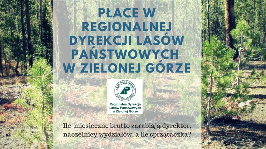 Zarobki w Regionalnej Dyrekcji Lasów Państwowych w Zielonej...