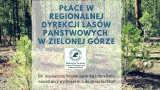 LUBUSKA LISTA PŁAC. Jak zarabia się w Regionalnej Dyrekcji Lasów Państwowych w Zielonej Górze. Poznaj płace od dyrektora do sprzątaczki