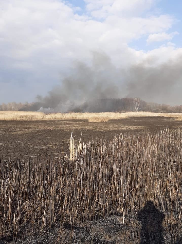 Osiem hektarów trzcin spaliło się w Kłudnie.