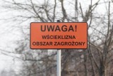 Wścieklizna we Wrześni - teren całego miasta uznano za obszar zagrożenia