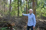 Drewno marnuje się w Puszczy Białowieskiej. Ludzie chcieliby kupić je na opał