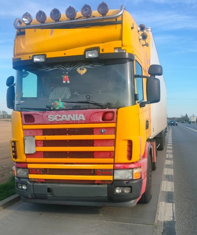 W czwartek 11 kwietnia w miejscowości Gniewkówiec w gminie Złotniki Kujawskie na Drodze Krajowej nr 25 policjanci wydziału ruchu drogowego zatrzymali do kontroli pojazd marki Scania.