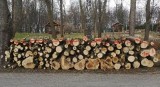Sprzedaż drewna opałowego rusza od poniedziałku w Kazimierzy Wielkiej. Jaka cena za metr przestrzenny? Sprawdźcie