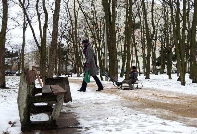 O nowej koncepcji parku mówiło się od dawna.  Jego dotychczasowy wizerunek znacznie się zmieni. Czy zadowoli to mieszkańców?