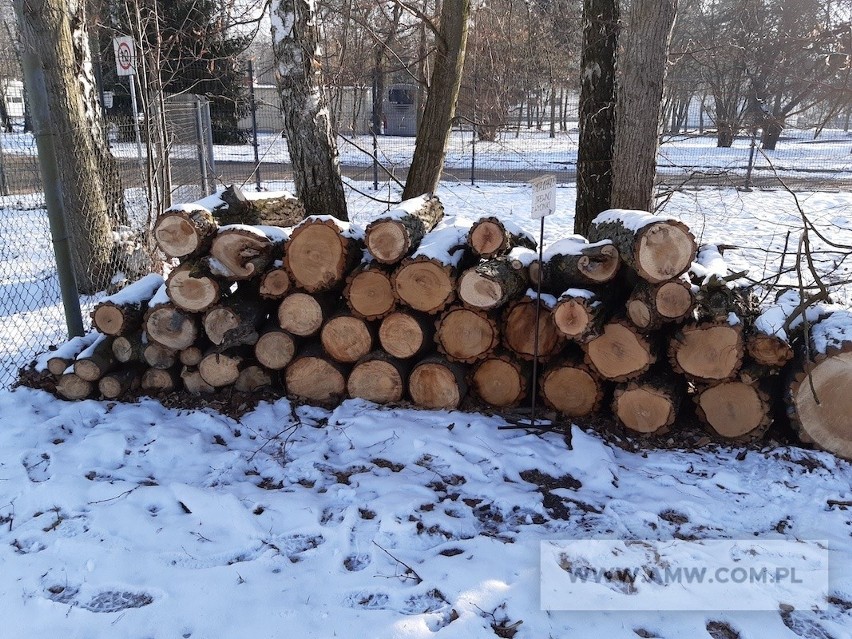 Nazwa: Drewno opałowe mieszane - pakiet zawierający 9,5 m3...