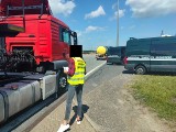 Wzmożone kontrole transportu odpadów na Pomorzu. Wojewódzki Inspektorat Ochrony Środowiska w Gdańsku planuje dalsze czynności