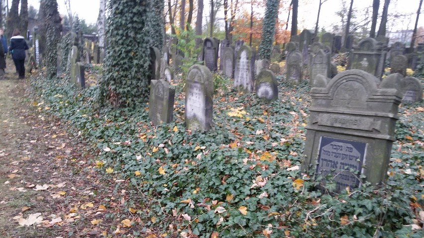 Zawiercie: Kwesta na cmentarzu żydowskim [ZDJĘCIA]