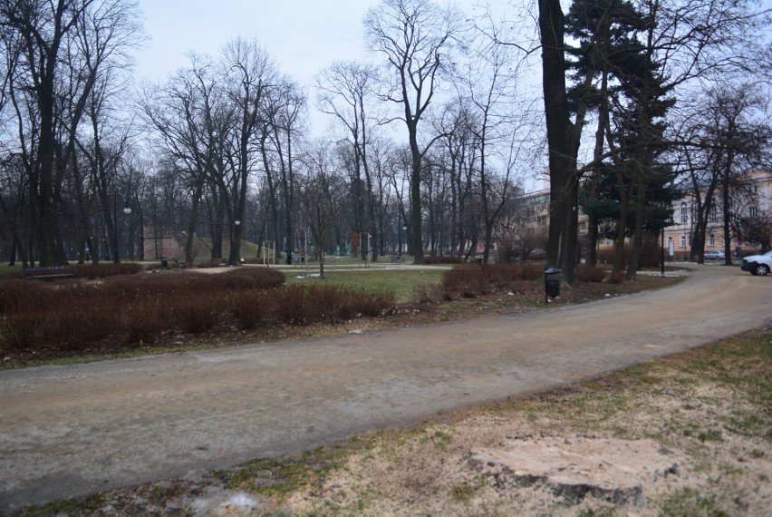 Pracownicy ZUK-u wycinają drzewa w parku Kościuszki.