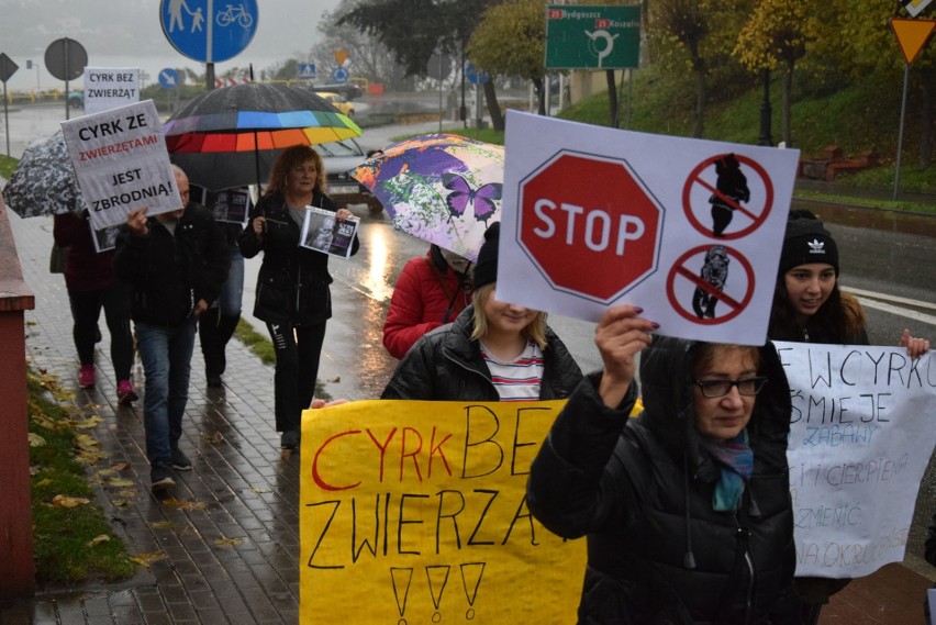 W demonstracji sprzeciwiającej się wykorzystywaniu zwierząt...