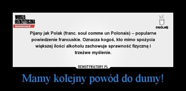 Polacy za granicą: Jaki jest stereotyp Polaka? [ZDJĘCIA, WIDEO] Wstyd się przyznać