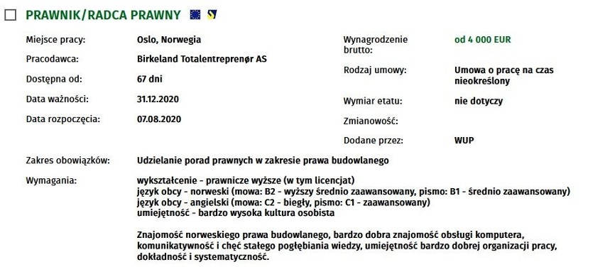 Szukasz pracy za granicą? Zobacz oferty z najwyższymi zarobkami [TOP 20]