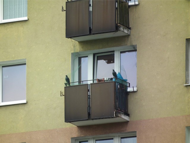 Tragedia w Bolesławcu. Kobieta wypadła z balkonu.