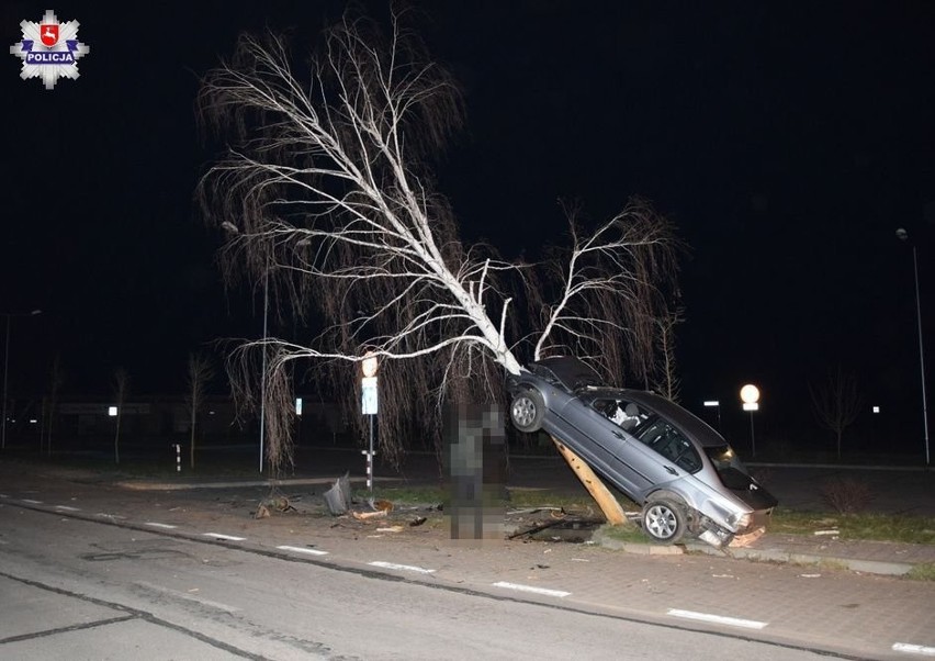 Wypadek w Janowie Lubelskim. Kierowca BMW wylądował samochodem na drzewie