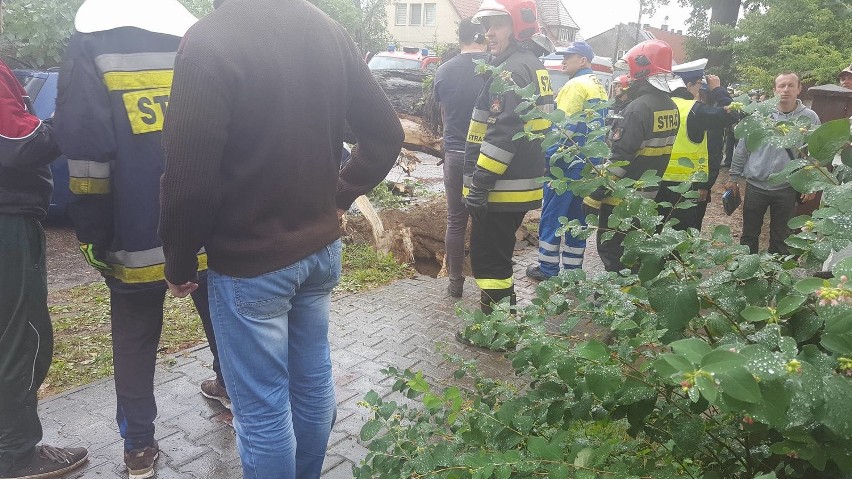 Wypadek pod Dobrzanami. Drzewo spadło na samochód