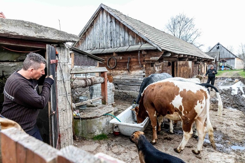 Drewniana chałupa, wielka kałuża na środku podwórka,...