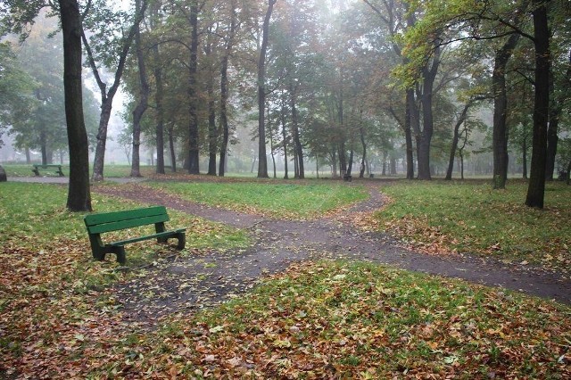 Dwa duże parki w Rudzie Śląskiej przejdą metamorfozę. To kolejny etap rozbudowywania Traktu Rudzkiego