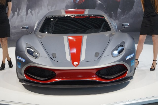 Arrinera Hussarya / Fot. Arrinera