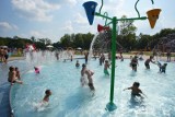 Pływalnie letnie w Poznaniu - bilety do nich kupisz także online. Sprawdź, jak to zrobić