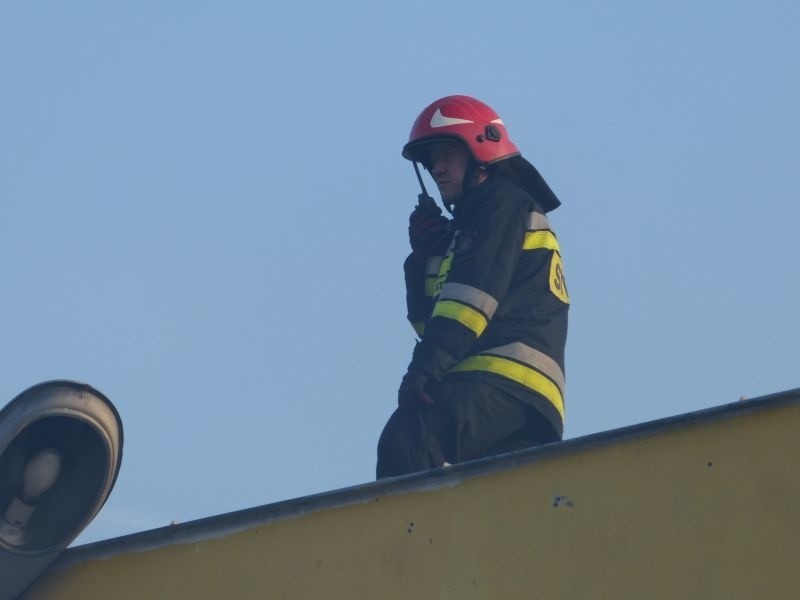 Pożar przy obwodnicy w Ostrowcu