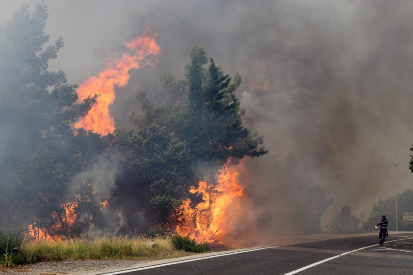 Z pożarem w Chorwacji walczy ponad pół setki strażaków.