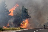 Potężny pożar i chmury dymu w Chorwacji. Płoną domy, strażacy nie mogą zdusić płomieni