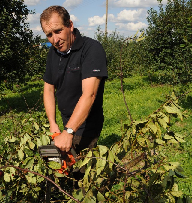 Mamy za dużo sadów wiśniowych i przez to biznes ten nie jest opłacalny – mówi Mirosław Skibicki z Kurian.