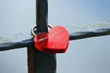 Pierwsze miłości samorządowców powiatu chełmińskiego - przed Walentynkami [zdjęcia]