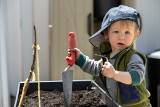 Uprawa roślin przez dzieci wpływa na ich funkcje poznawcze oraz rozwój emocjonalny